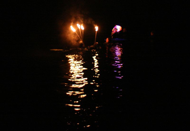 Fackelschwimmen