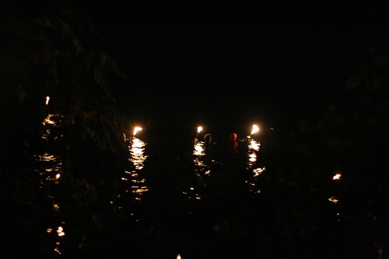 Fackelschwimmen