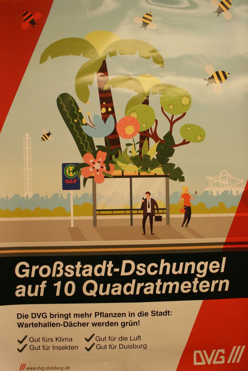 Grossstadt_Dschungel